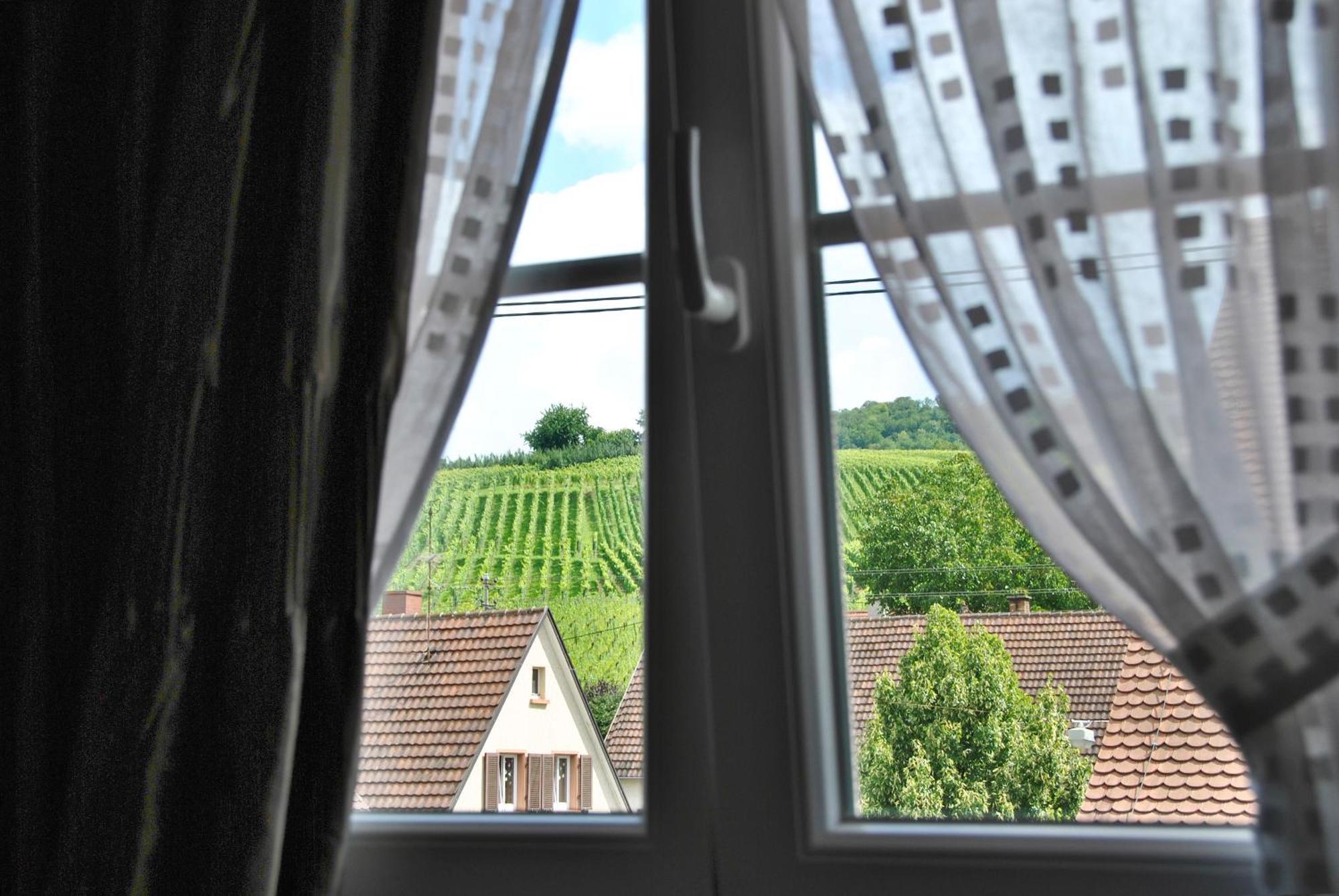 Landgasthof Rebstock Weil Am Rhein / Basel Exterior foto